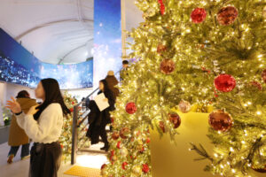 강추위와 대설특보 예보 2526일