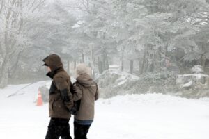 올겨울 첫 한파경보 발령수도권 16도까지 체감온도 떨어진다