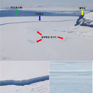황제펭귄 새끼 70 사라져 빙산 막힘으로 추정